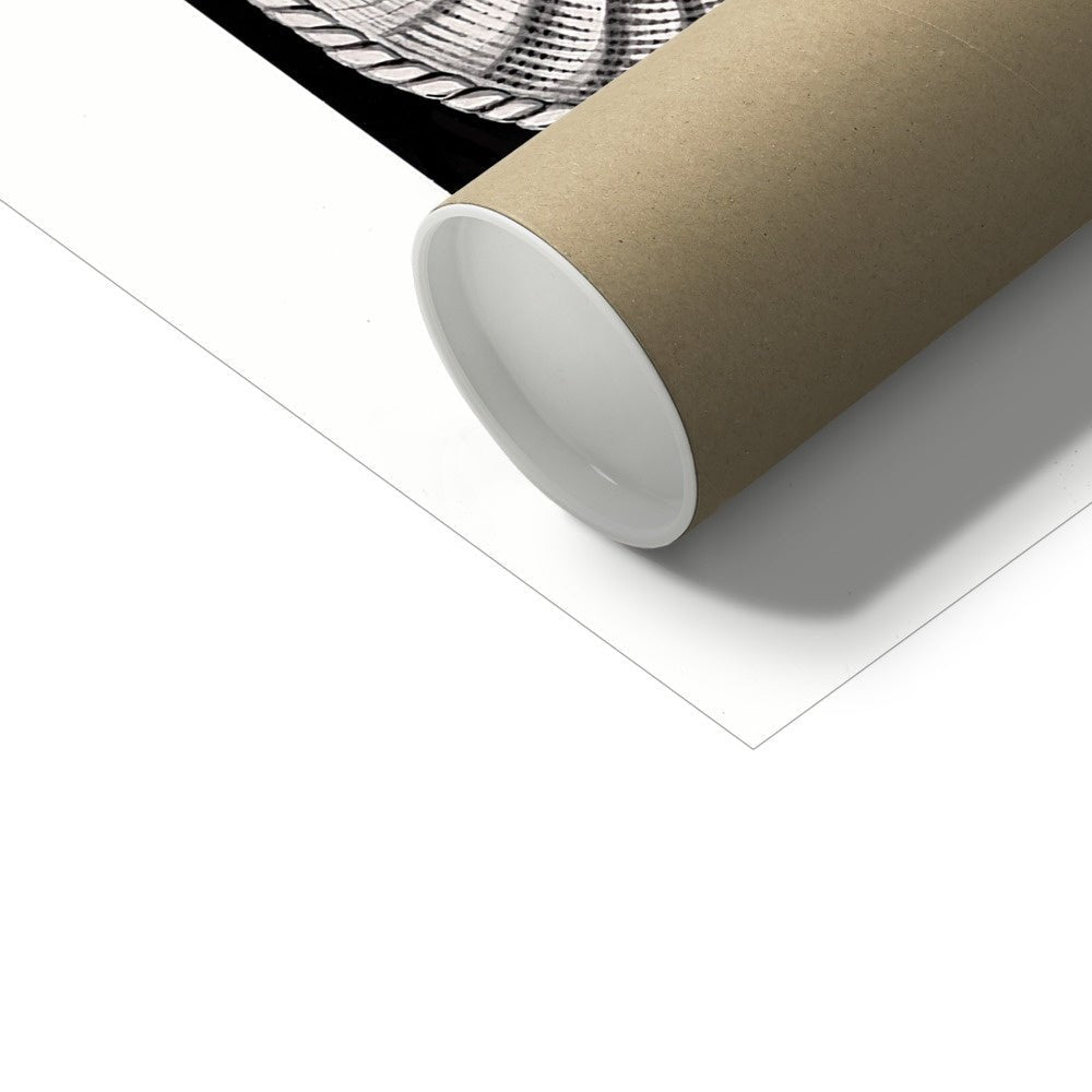 Ernst Haeckel, Ammonitida Nautilus Shells Seashells Sacred Geometry Fine Art Print