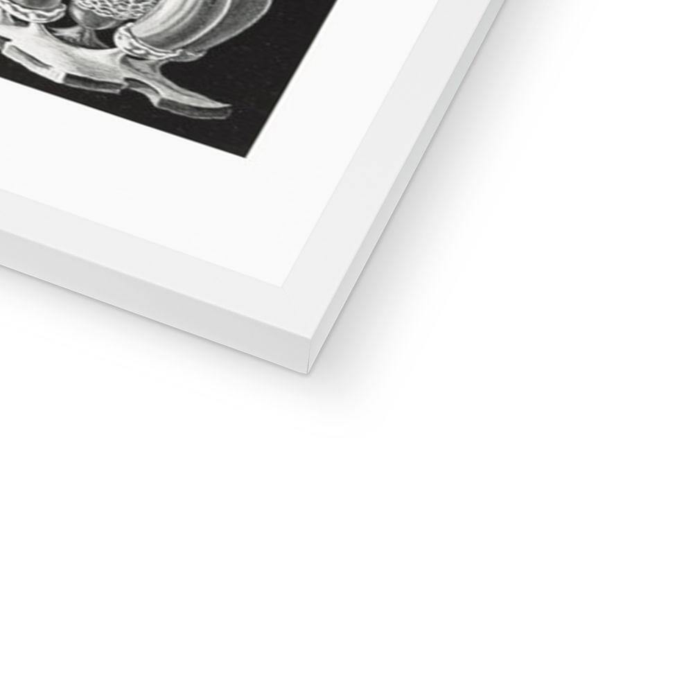 Ernst Haeckel Framed Print