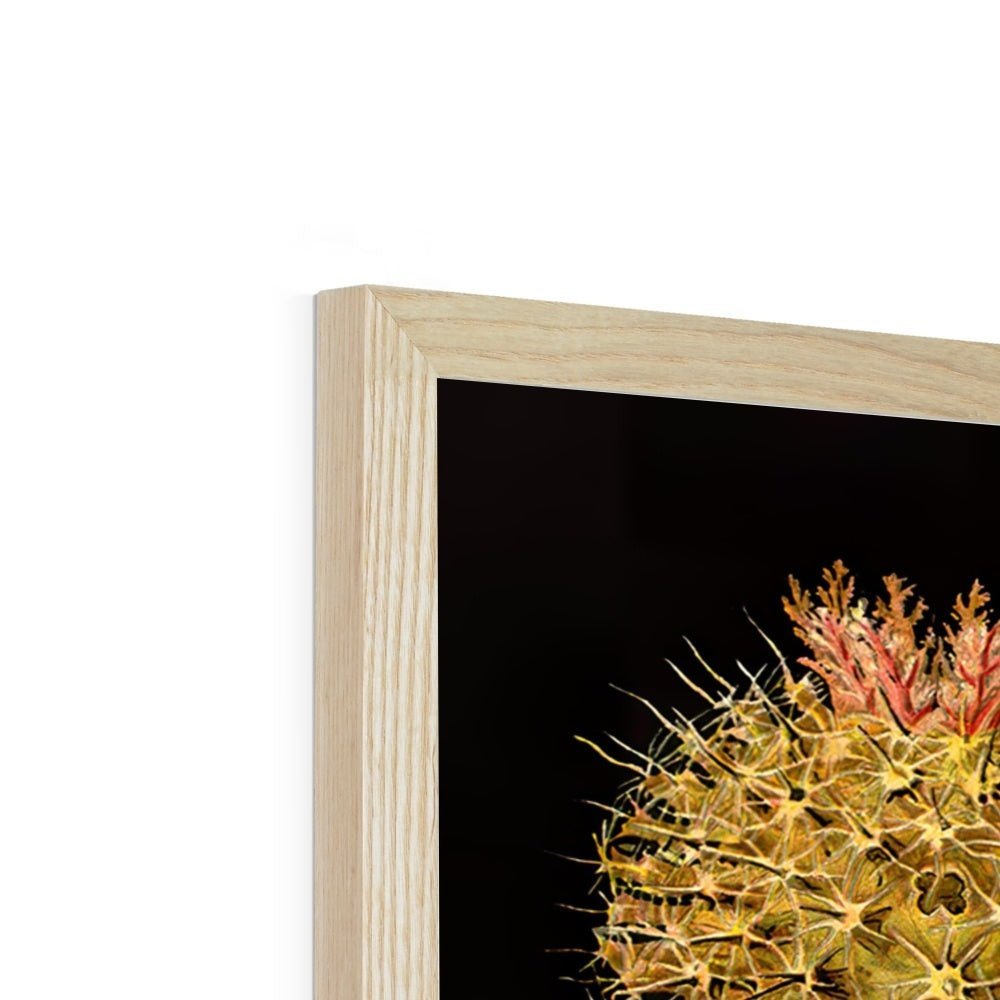Framed Ernst Haeckel, Ascidiea (Sea Squirts) Marine Life | Sea Life, Ocean Home Decor | Classroom Evolution Vintage Framed Art Print