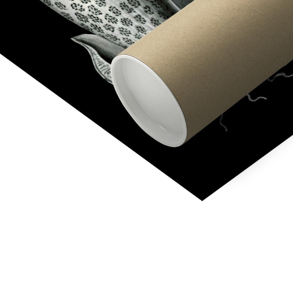 Haeckel Basimycetes Mushroom Art Botanical Fungi Mycelium Poster Mushroom Illustration Vintage Giclee Fine Art Print