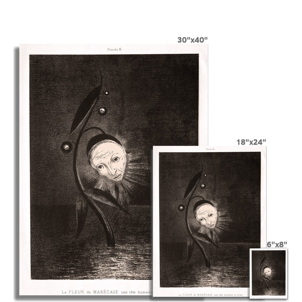 Odilon Redon: The Marsh Flower and a Sad Head Giclée Fine Art Print