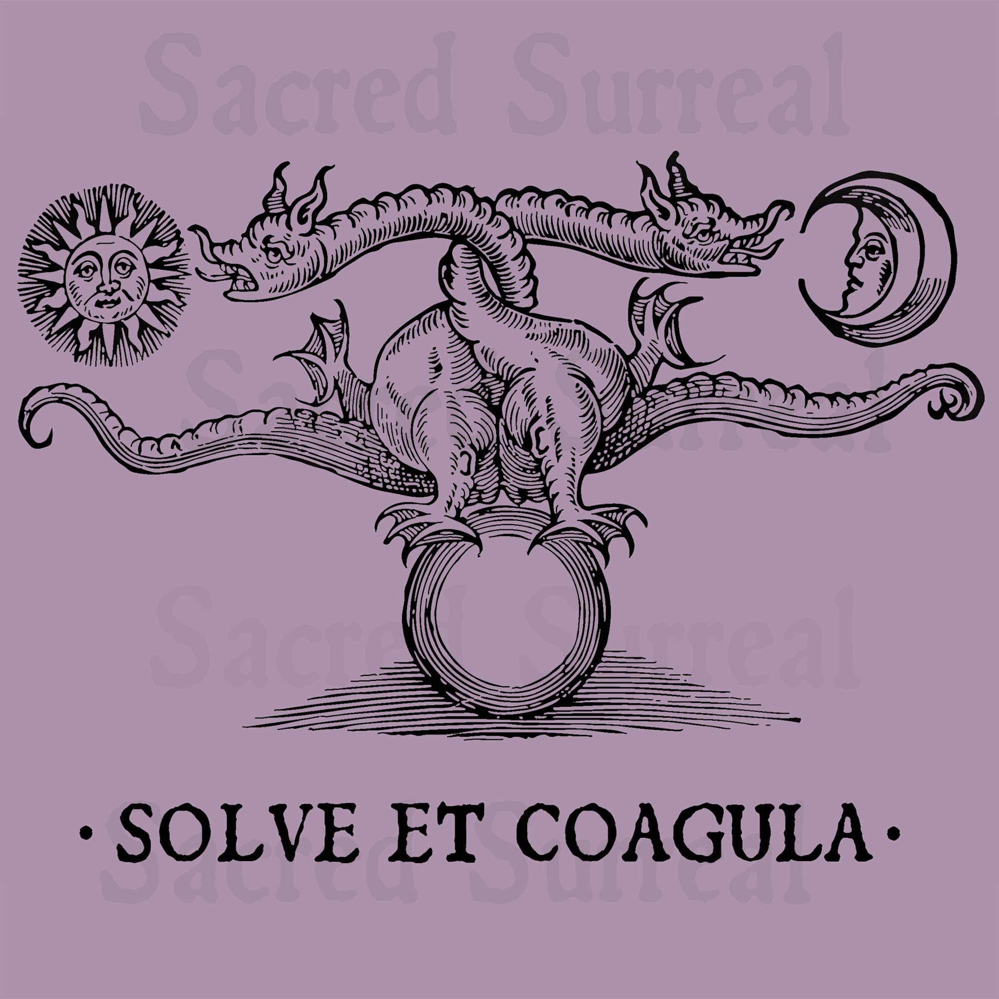 T-Shirts Alchemical, Medieval Occult Celtic Dragon | Esoteric Pagan "Solve Et Coagula" Graphic Art T-Shirt