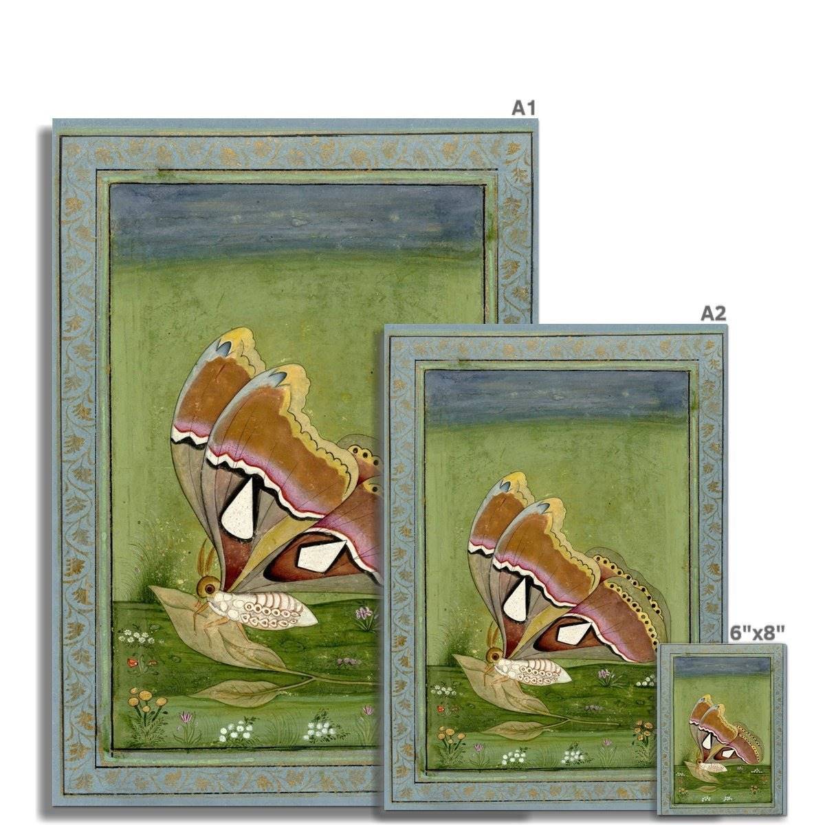 Antique Dutch Butterfly Print, 1800s, Pastel, Insect Lovers, Vintage Attacus Entomology, Moth, Wildlife Meadow Wall Art Decor Fine Art Print