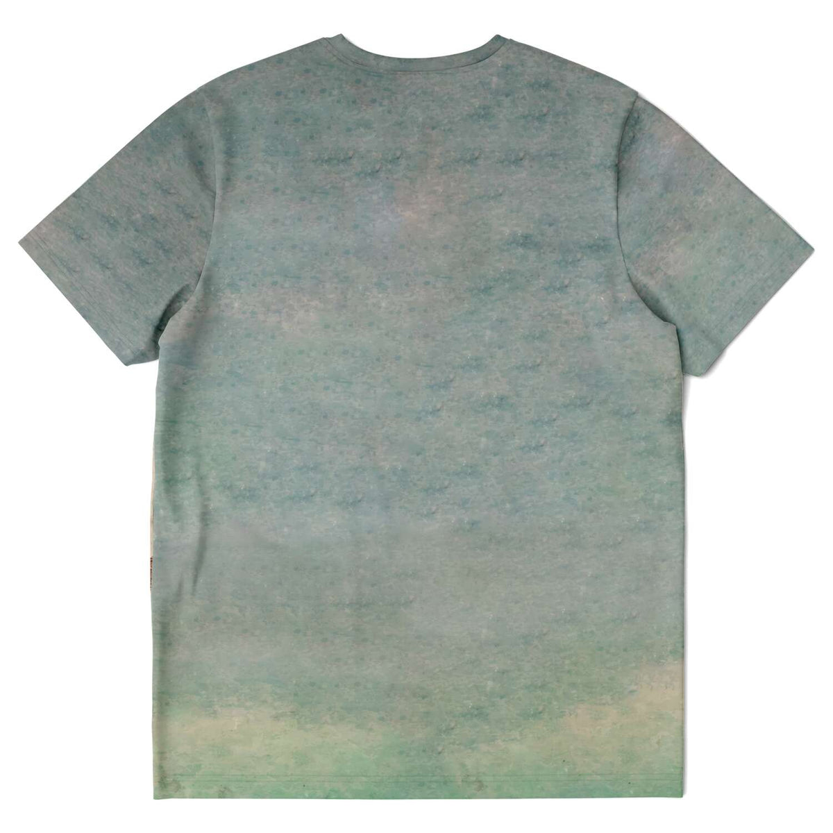 Antique Tibetan Turtle Cosmological Divination Vintage T-Shirt Graphic Tee