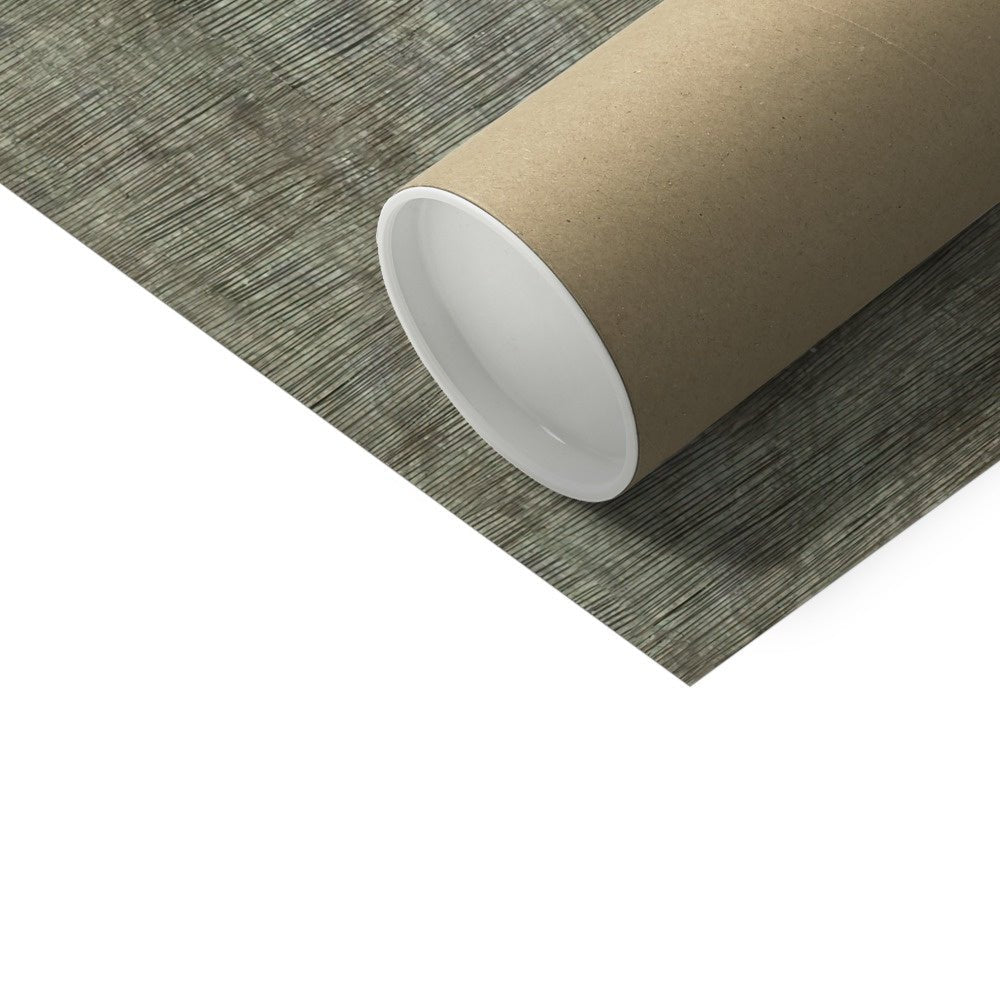 Antique Vishnu, Brahma, Naga, Cosmic Universe Creation Hindu Yoga Yogic Vedic Cosmology Lotus Serpent Fine Art Print