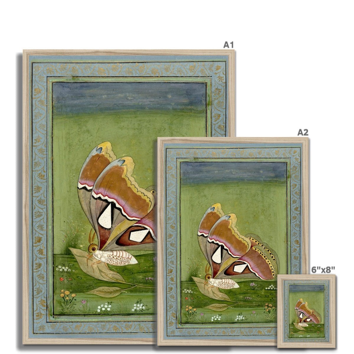 Butterly Non Digital Framed Print