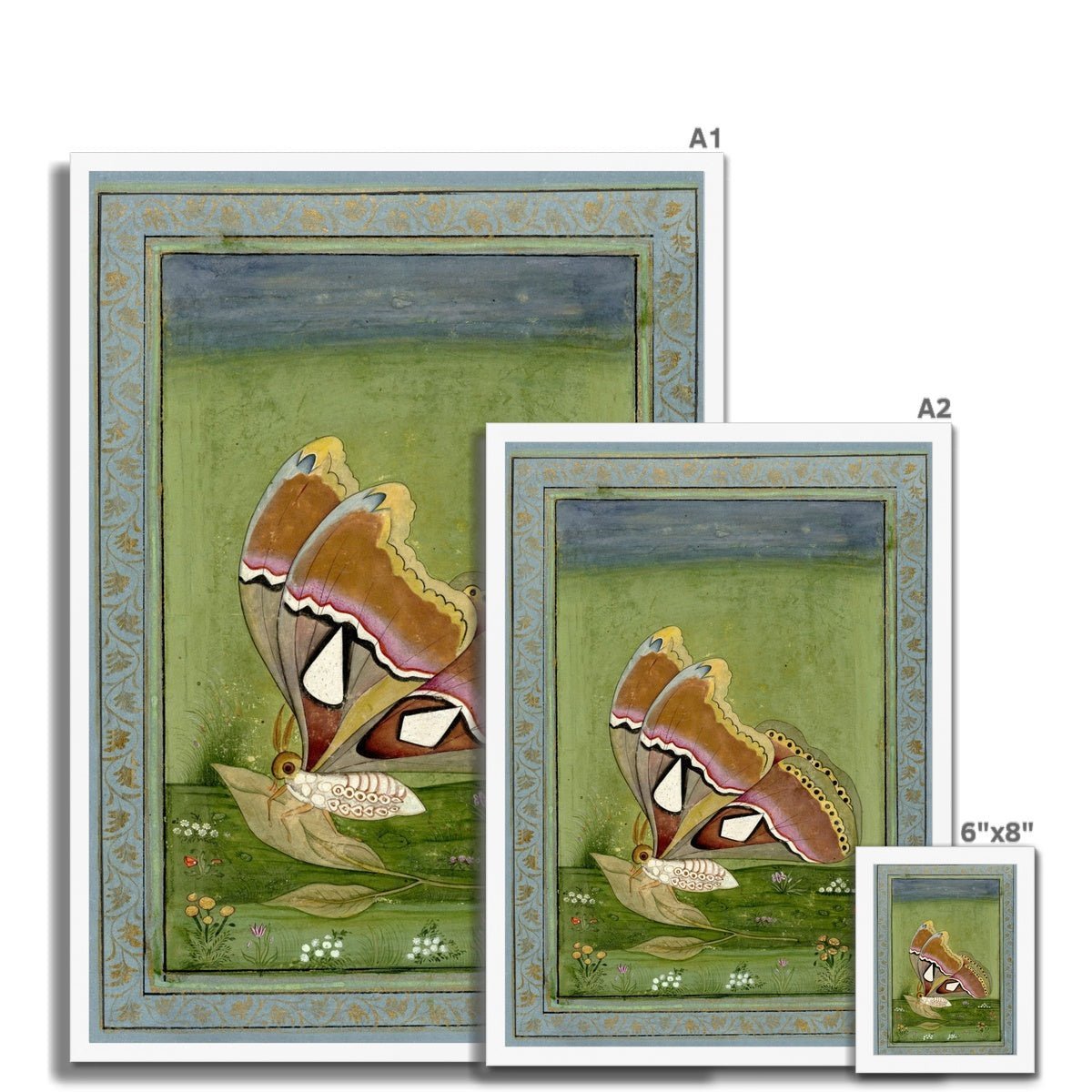 Butterly Non Digital Framed Print