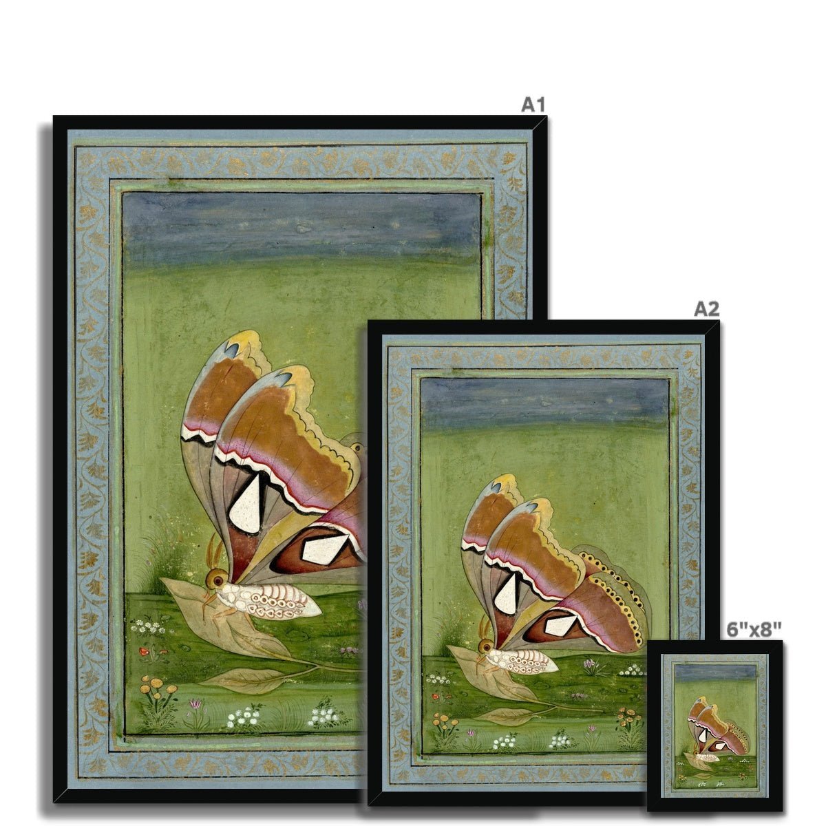 Butterly Non Digital Framed Print