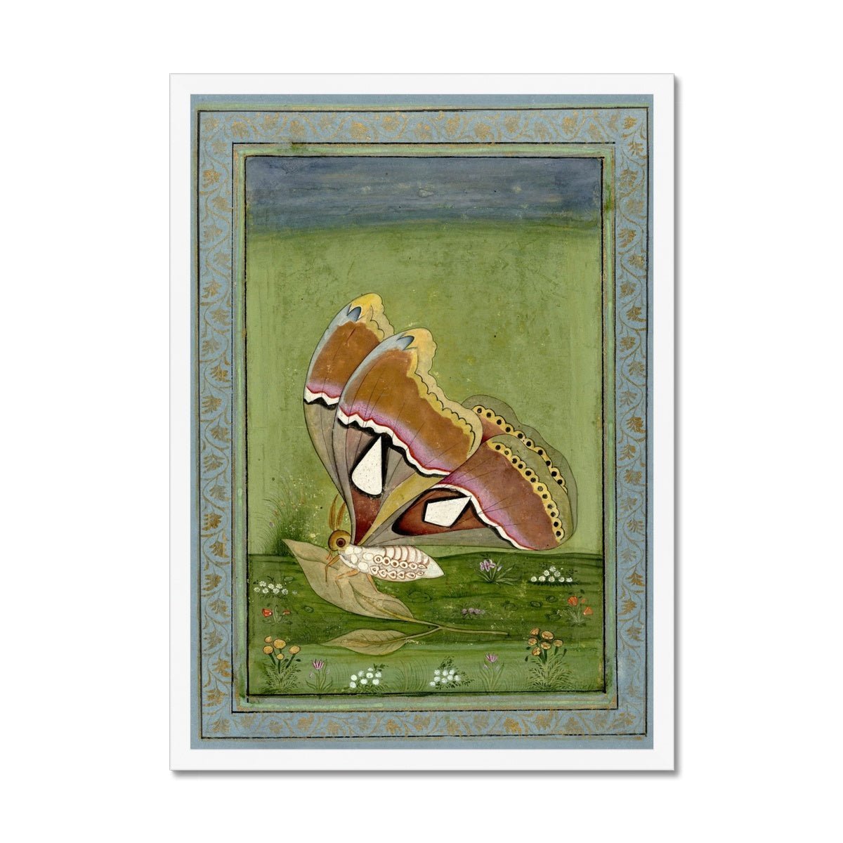 Butterly Non Digital Framed Print