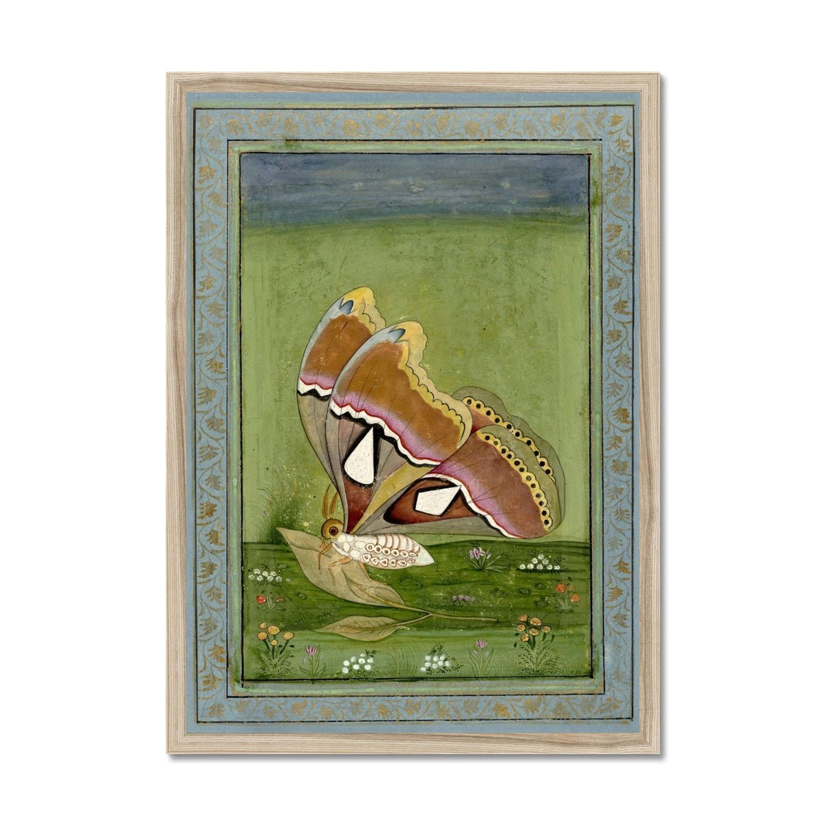 Butterly Non Digital Framed Print