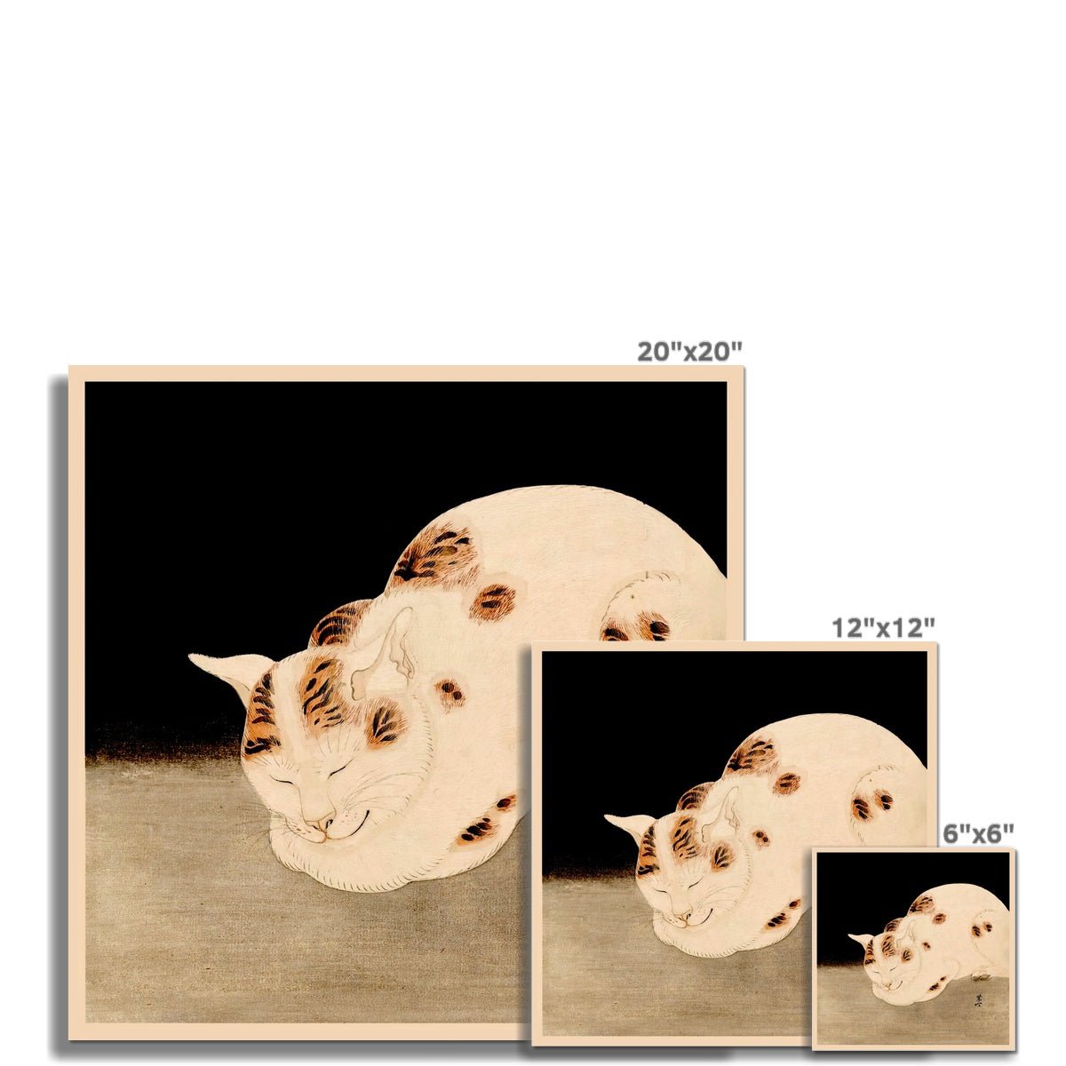 Cute Sleeping Cat (Kawanabe Kyosai) Woodblock Japanese Ukiyo-e Kitty Feline Fine Art Print