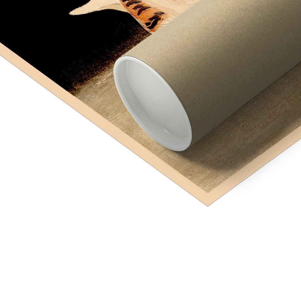 Cute Sleeping Cat (Kawanabe Kyosai) Woodblock Japanese Ukiyo-e Kitty Feline Fine Art Print