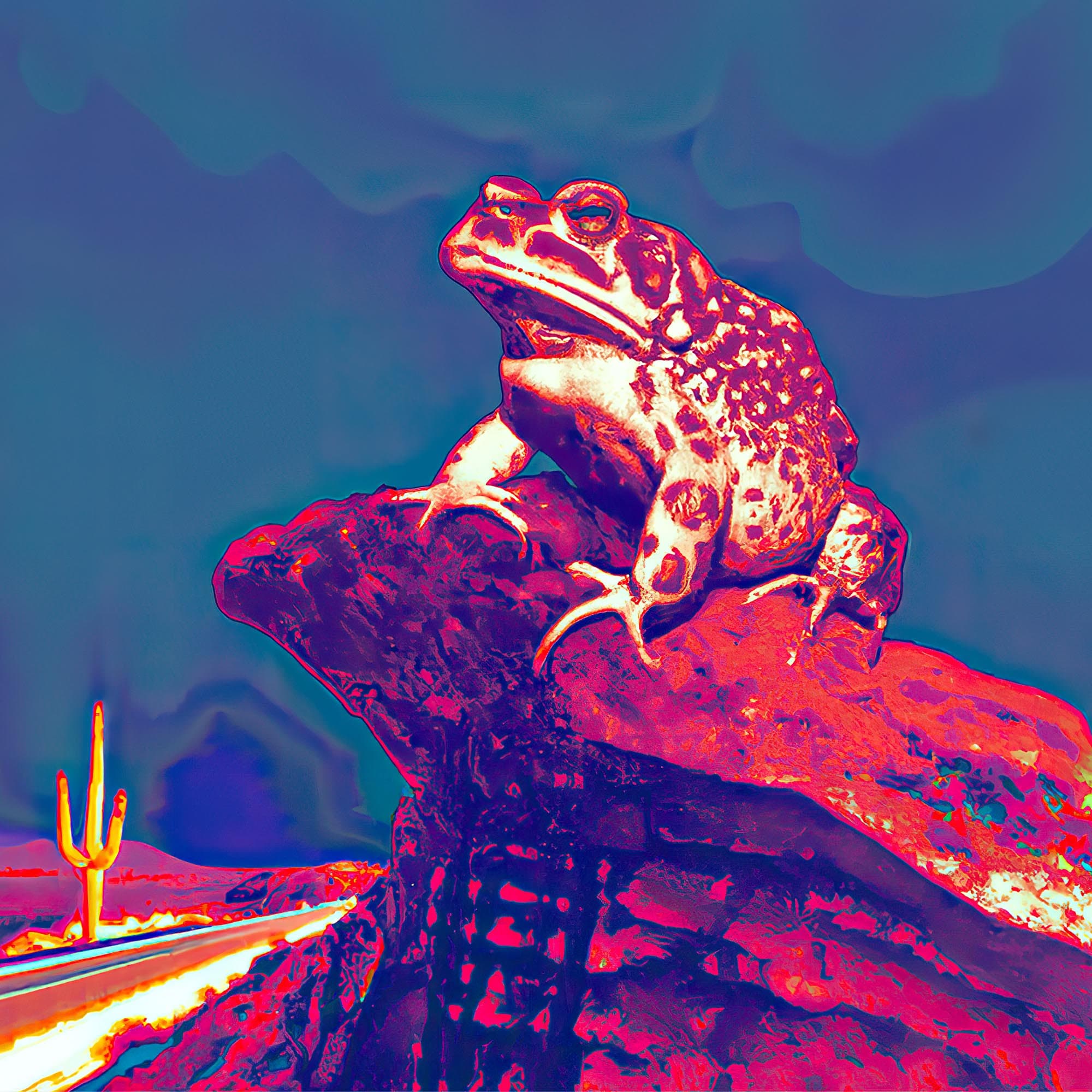 DMT Toad in the Sonoran Desert | Bufo Alvarius, DMT Psychedelic (Weed, 420, Cannabis) | Shamanic Vision Trippy Digital Art T-Shirt Tee