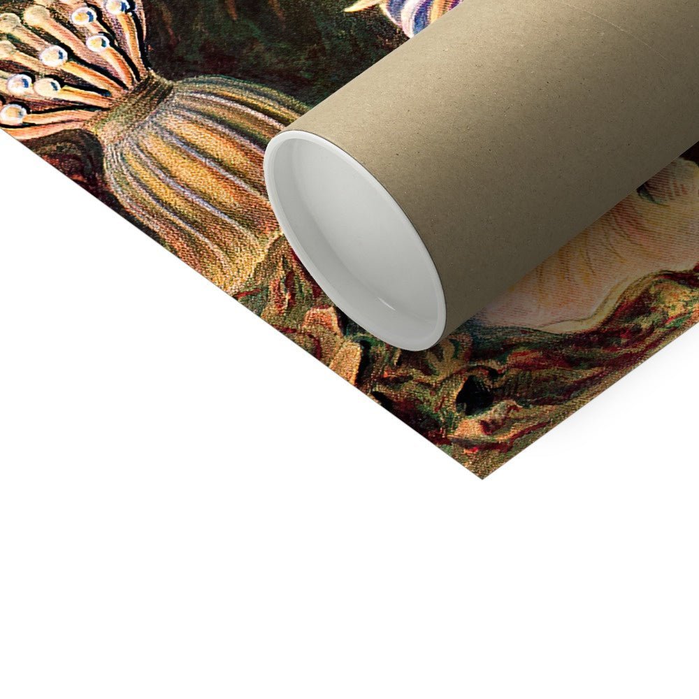 Ernst Haeckel Actiniae Marine Life Ocean Botanical Antique Giclée Fine Art Print