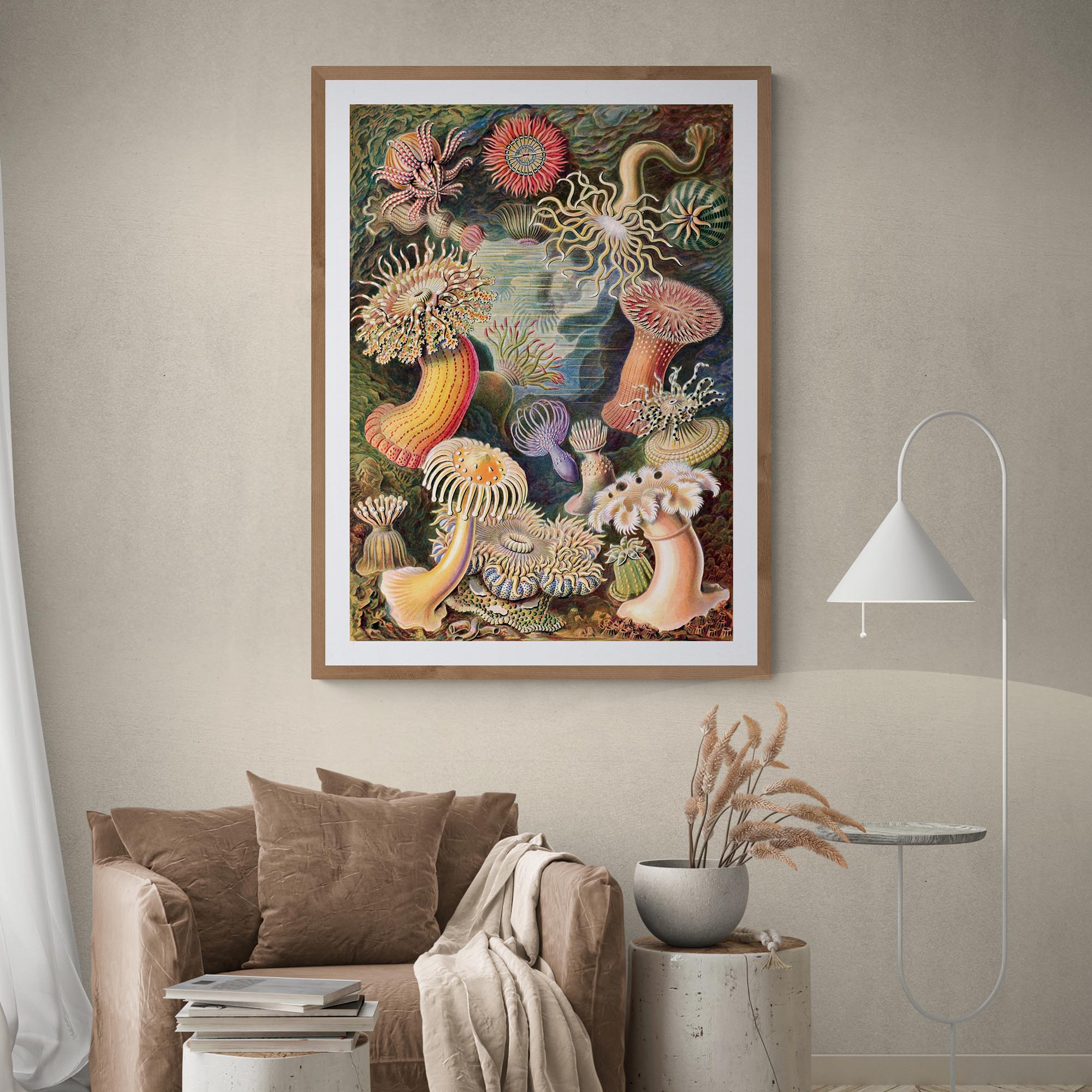 giclee Ernst Haeckel Actiniae Marine Life Ocean Botanical Antique Giclée Fine Art Print