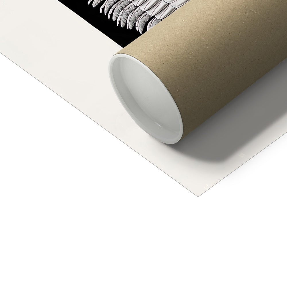 Ernst Haeckel Aspidonia Marine Life Coral, Seashell Botanical Giclée Fine Art Print