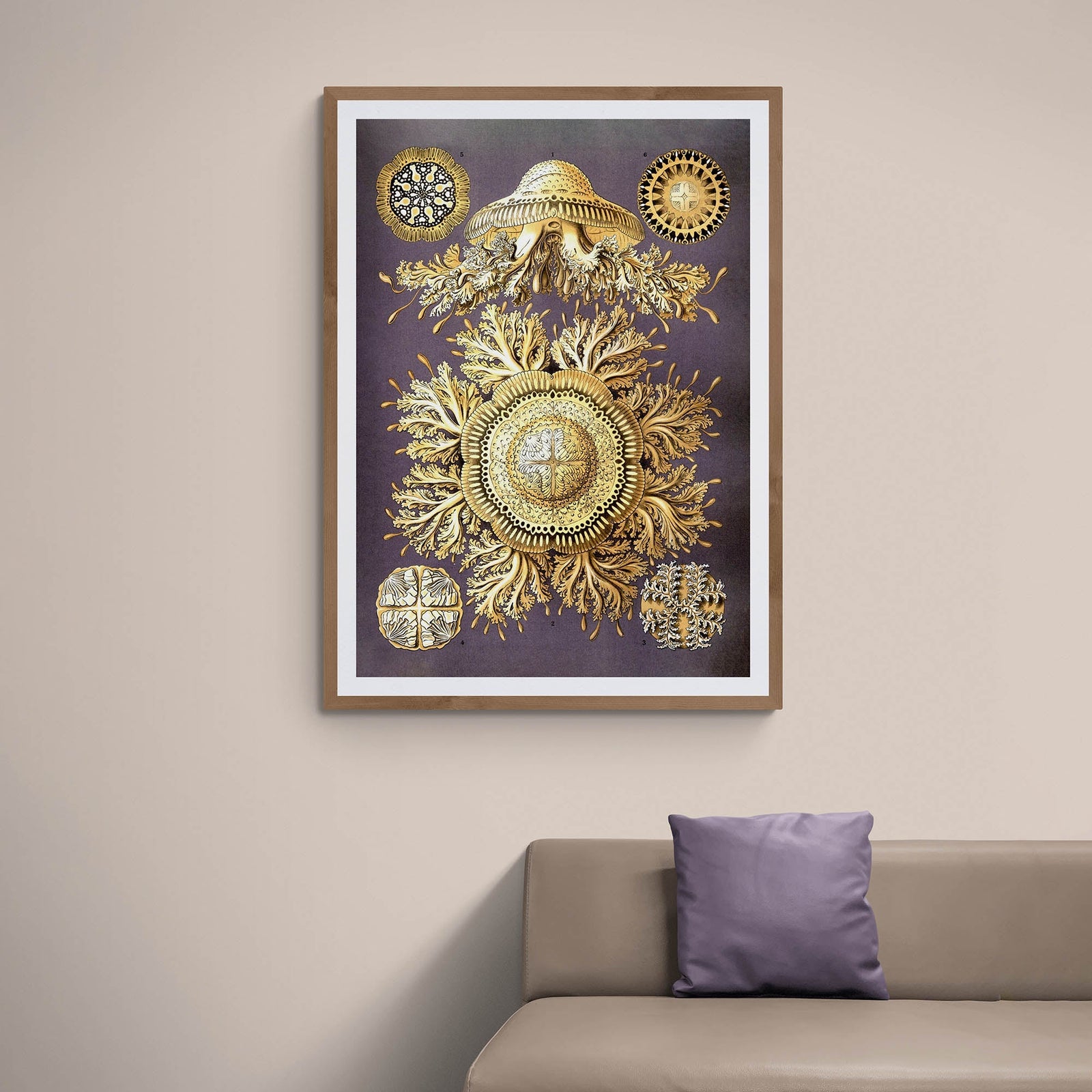 Ernst Haeckel Discomedusae Jellyfish Marine Life Botanical Illustration Giclée Fine Art Print