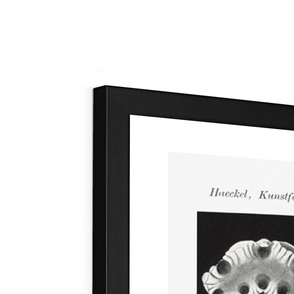 ERNST HAECKEL FRAMED PRINT