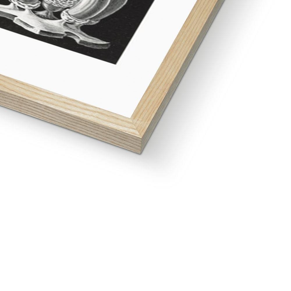 Ernst Haeckel Framed Print