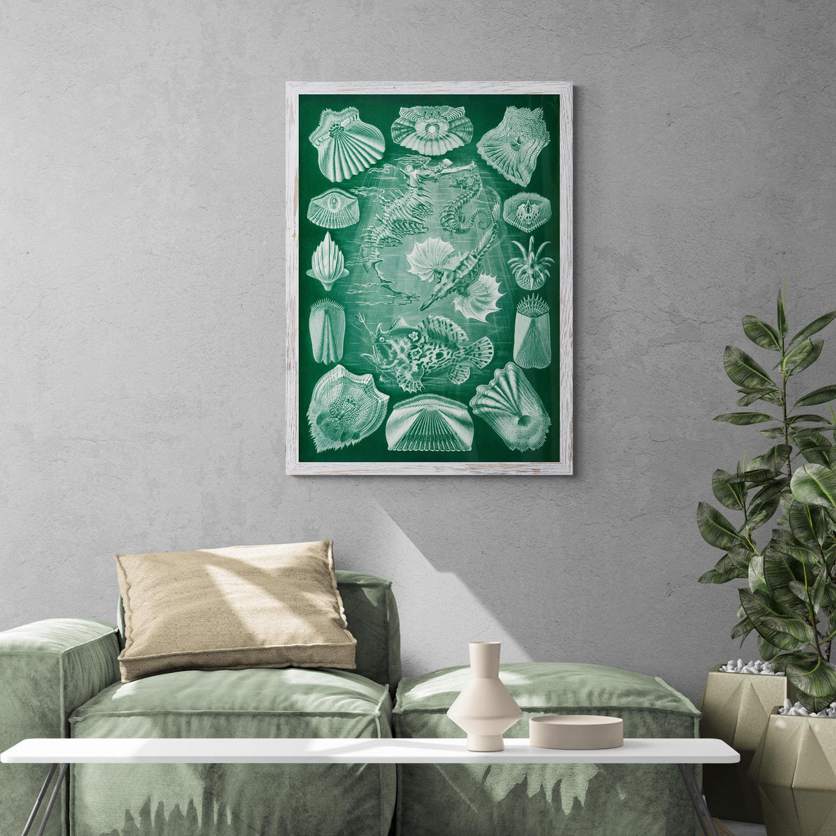 Ernst Haeckel Teleostei Marine Life Seashells Ocean Life Scuba Beach Vintage Giclée Fine Art Print