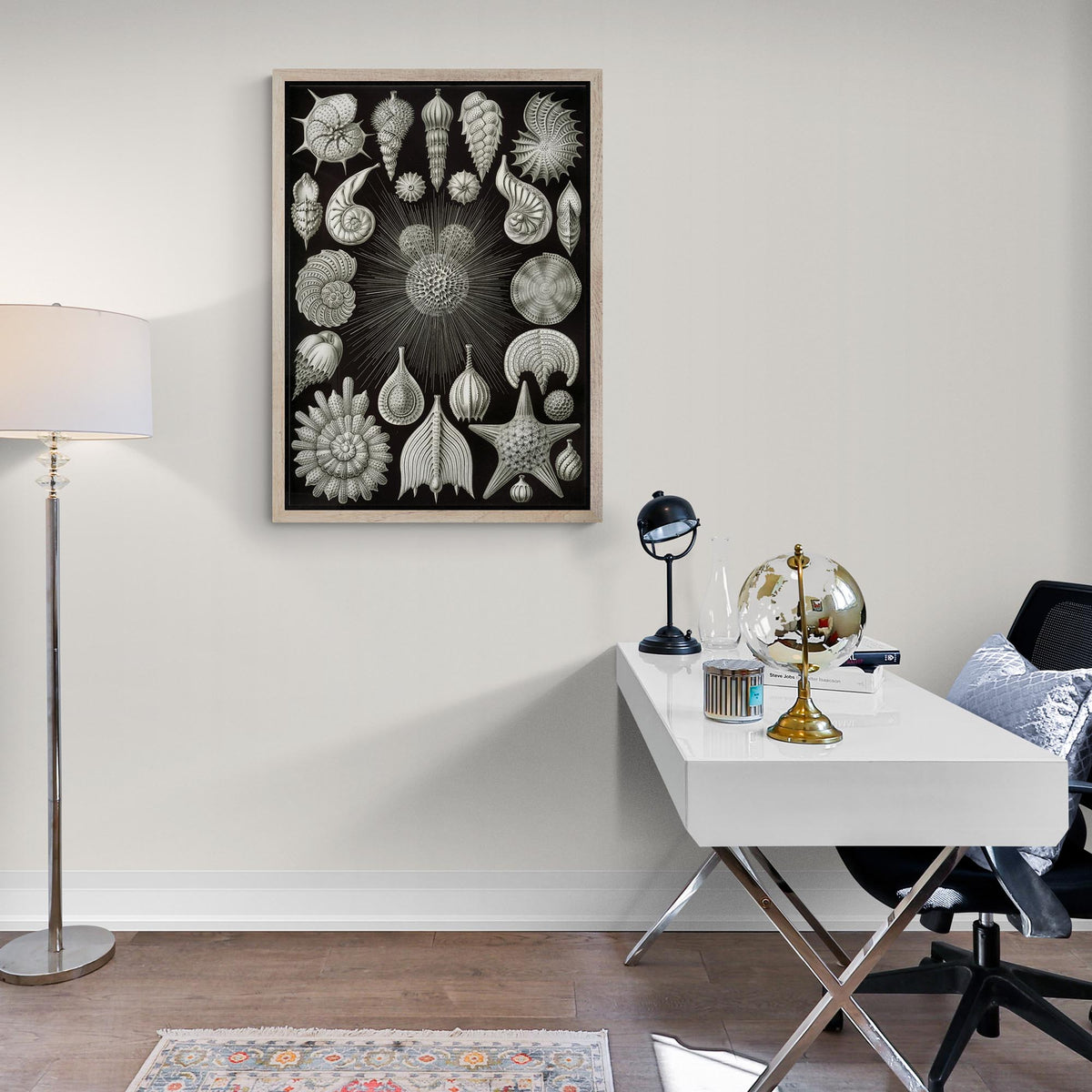 Ernst Haeckel Thalamphora Marine Life (Art Forms in Nature) | Ocean Seashells Starfish | Natural History Gift Vintage Fine Art Print