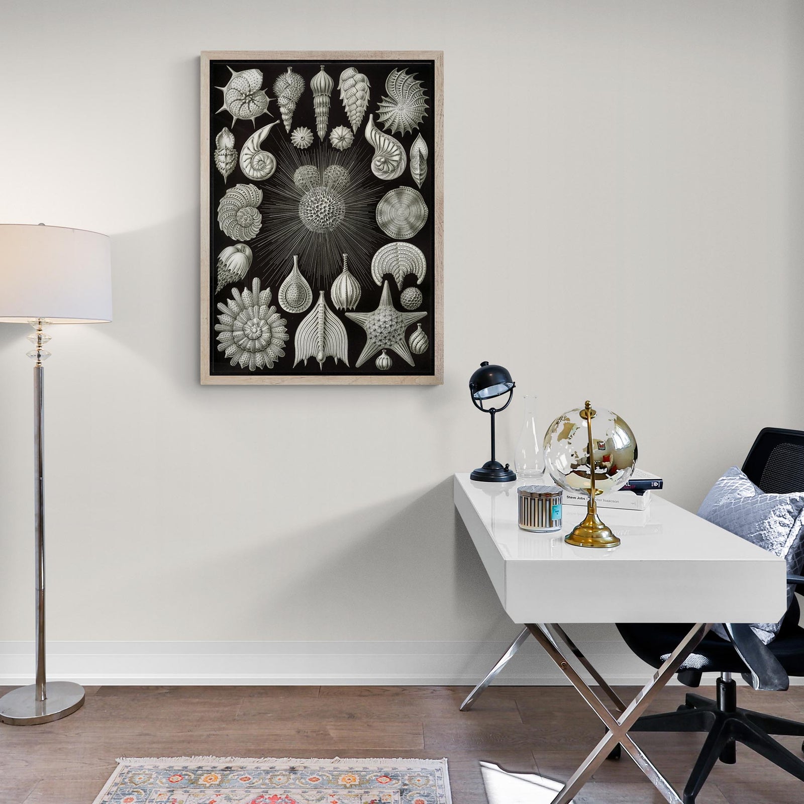 Ernst Haeckel Thalamphora Marine Life (Art Forms in Nature) | Ocean Seashells Starfish | Natural History Gift Vintage Fine Art Print