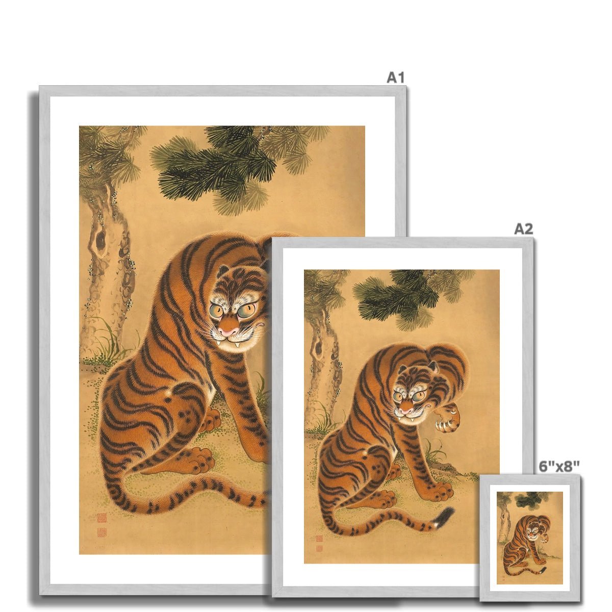 Exquisite Tiger Cleaning its Paw: Japanese Sumi-e Art, Asian Animal Nature Wildlife Jungle Antique Vintage Framed Print