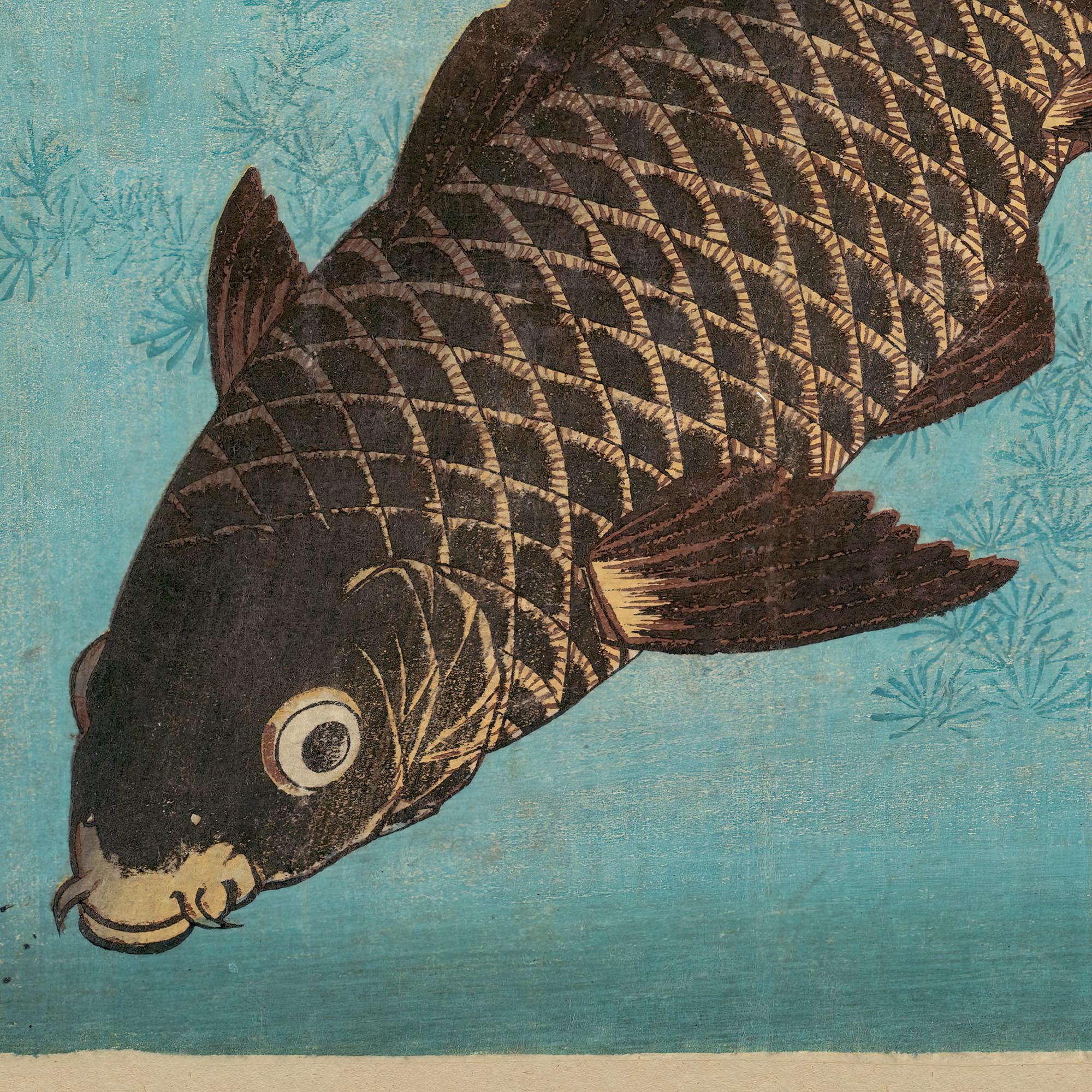 Framed Koi Carp, Keisai Eisen, Zen Traditional 19th-Century Japanese Edo Period Woodblock Antique Framed Art Print