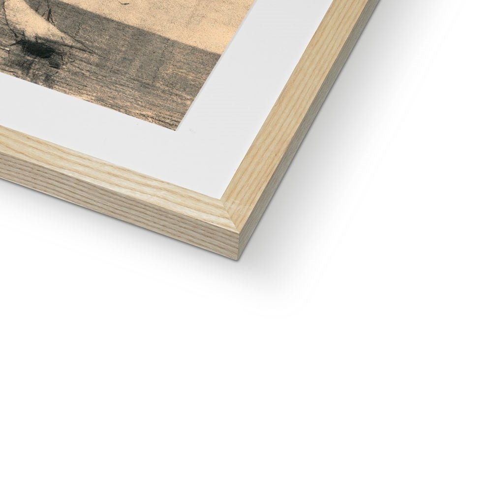 Framed & Mounted Print