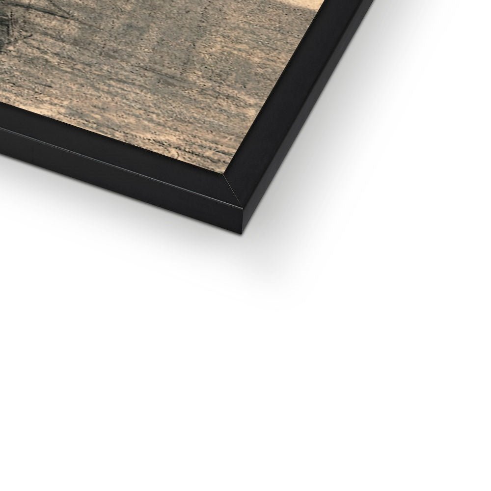 Framed Print