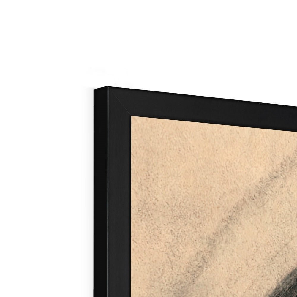 Framed Print