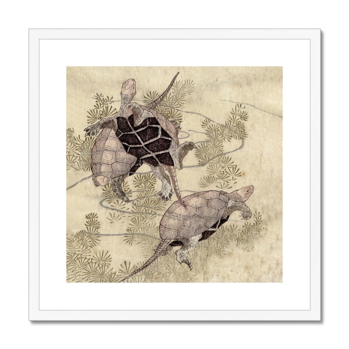 Fine art 20"x20" / White Frame Sea Turtles Framed & Mounted Print