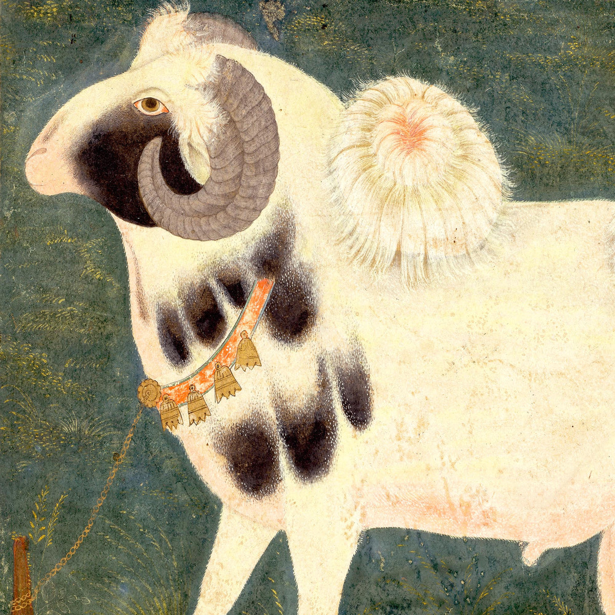 Gold Framed Royal Ram with Gold Chain | Antique Watercolor Classical Indian Mughal Pastoral Goat Sheep Horse Framed Art Print