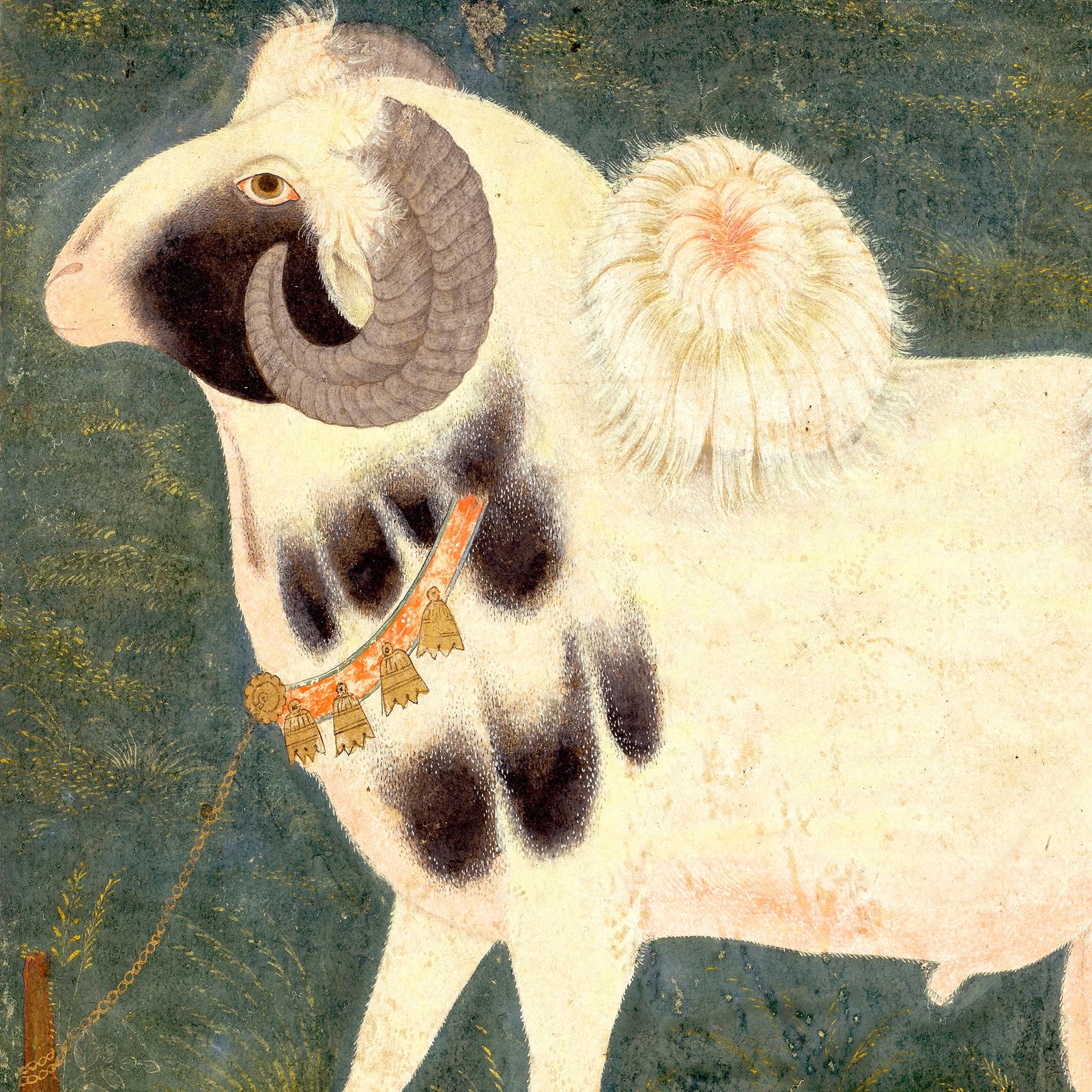 Gold Framed Royal Ram with Gold Chain | Antique Watercolor Classical Indian Mughal Pastoral Goat Sheep Horse Framed Art Print