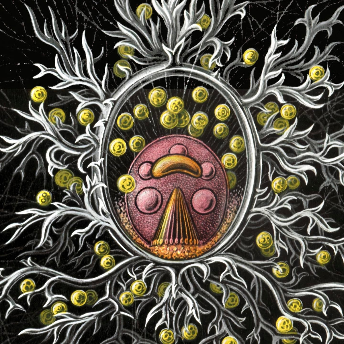 Haeckel Stephoidea Marine Life | Vintage Sea, Ocean Decor, Evolution Fine Art Print