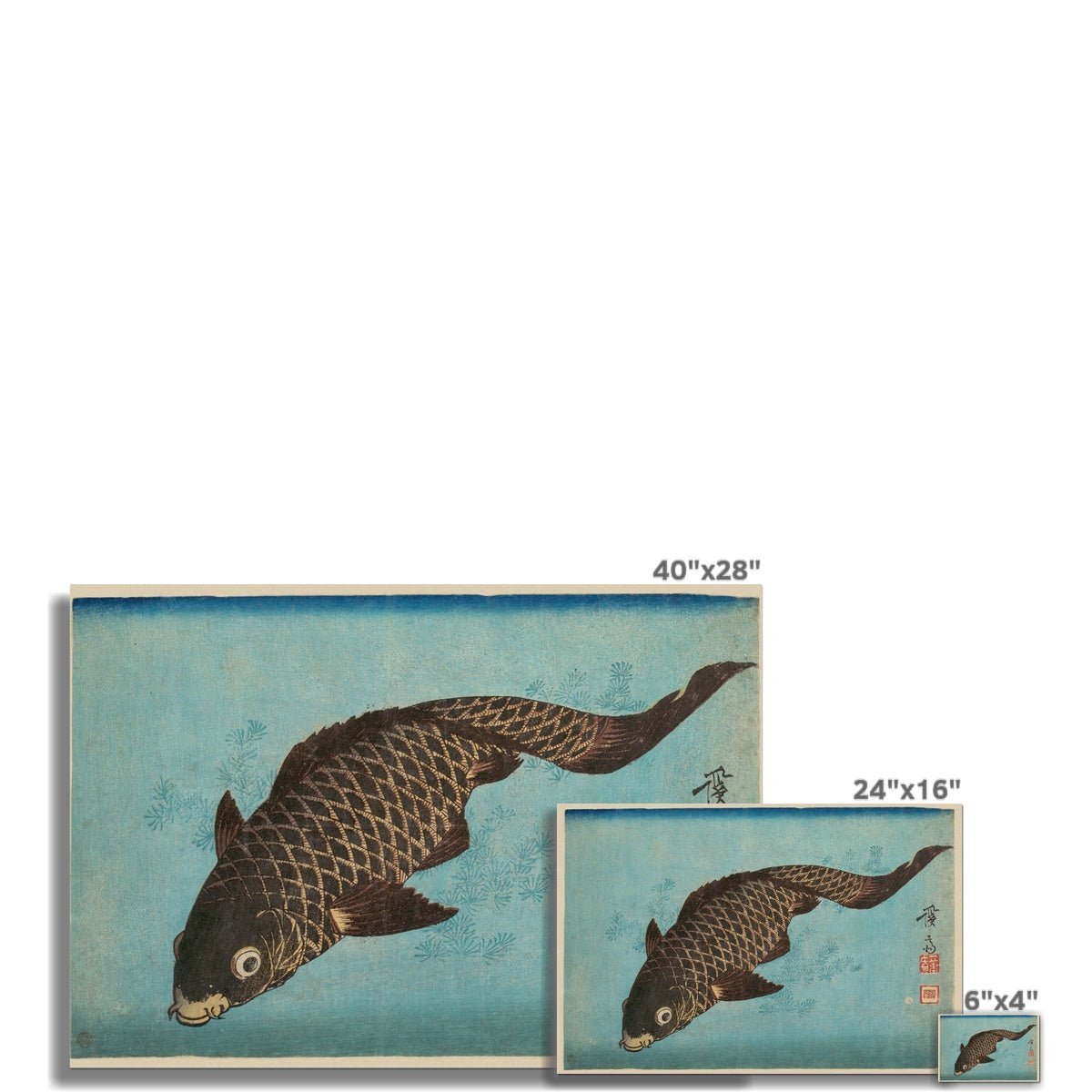 giclee 6"x4" Keisai Eisen Japanese Woodblock Koi, Carp, Ukiyo-e Marine Life Antique Fine Art Print
