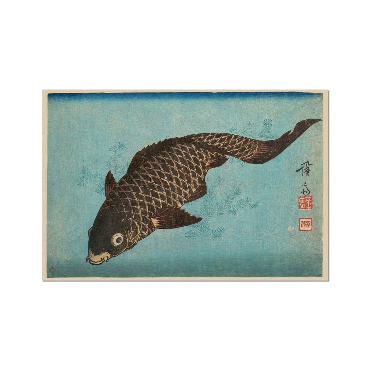 Keisai Eisen Japanese Woodblock Koi, Carp, Ukiyo-e Marine Life Antique Fine Art Print