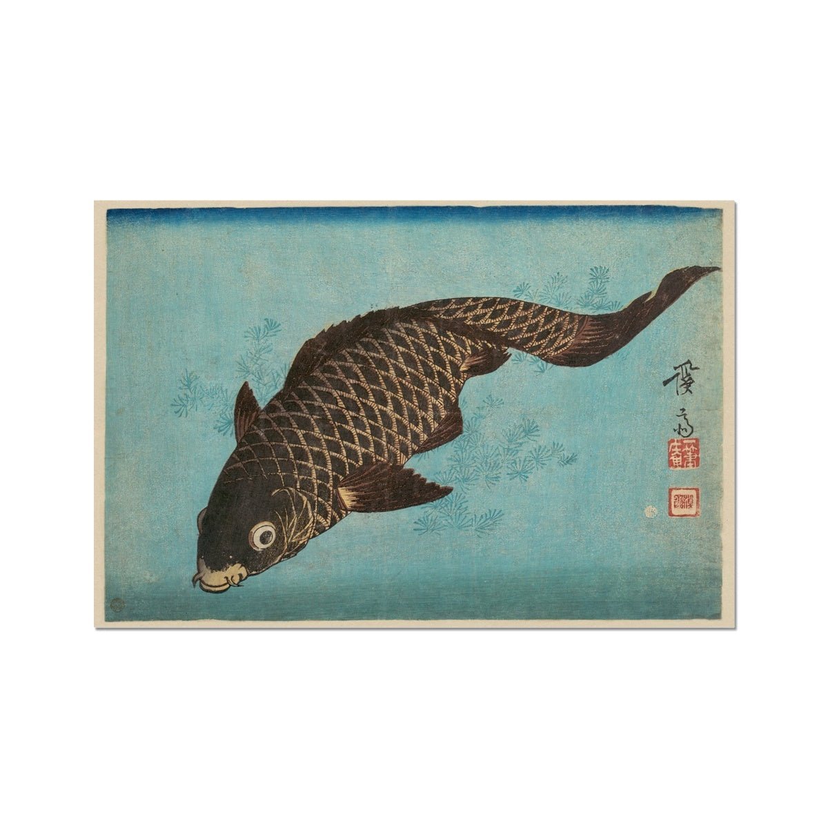 giclee Keisai Eisen Japanese Woodblock Koi, Carp, Ukiyo-e Marine Life Antique Fine Art Print
