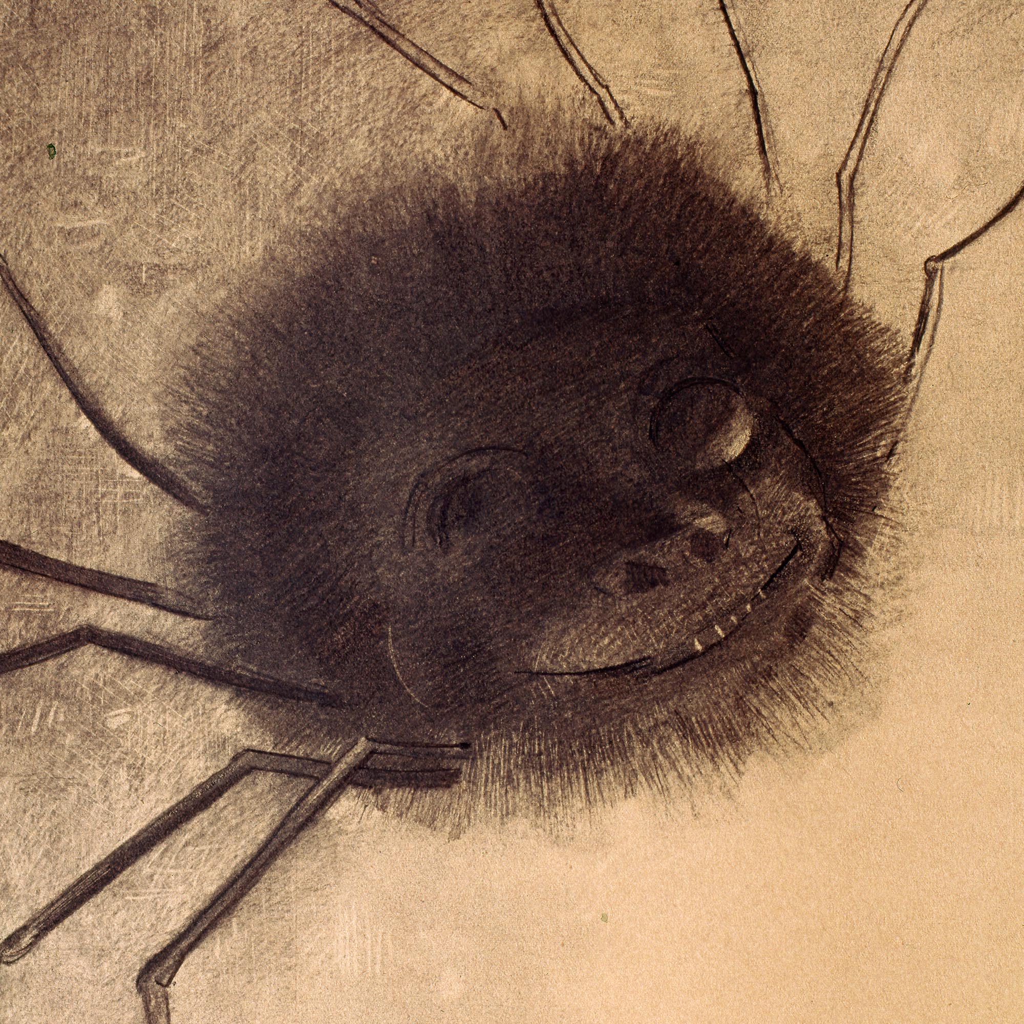 Fine art Odilon Redon: The Smiling Spider Symbolist | Dark Art Fantasy Surreal Vintage Fine Art Print