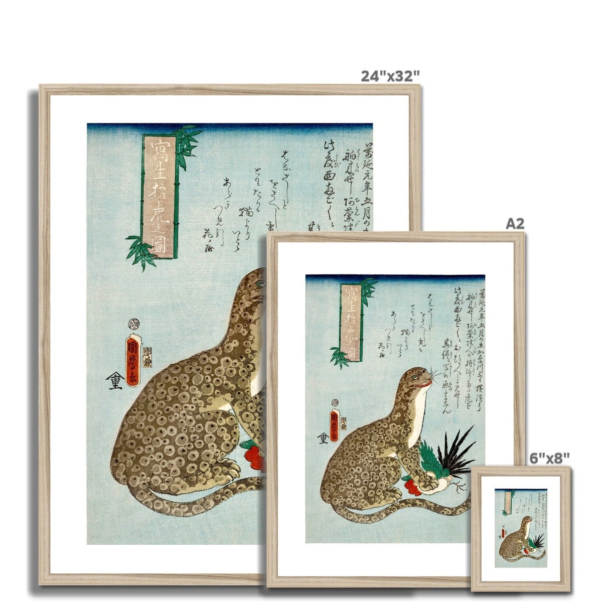 Porpoise Framed & Mounted Print