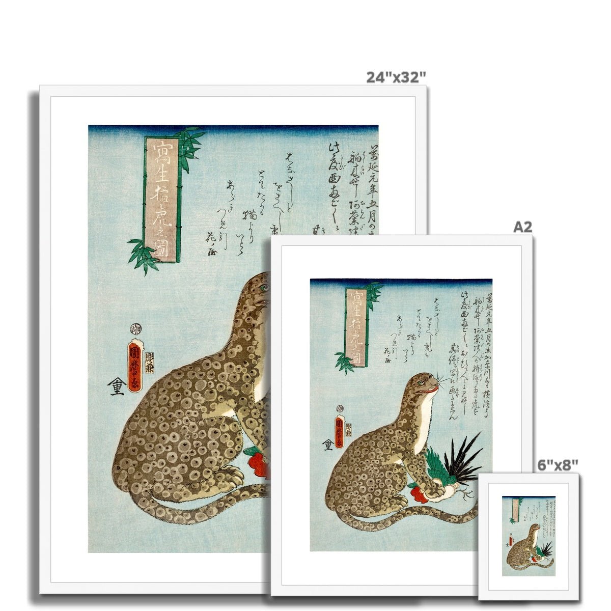 Porpoise Framed & Mounted Print