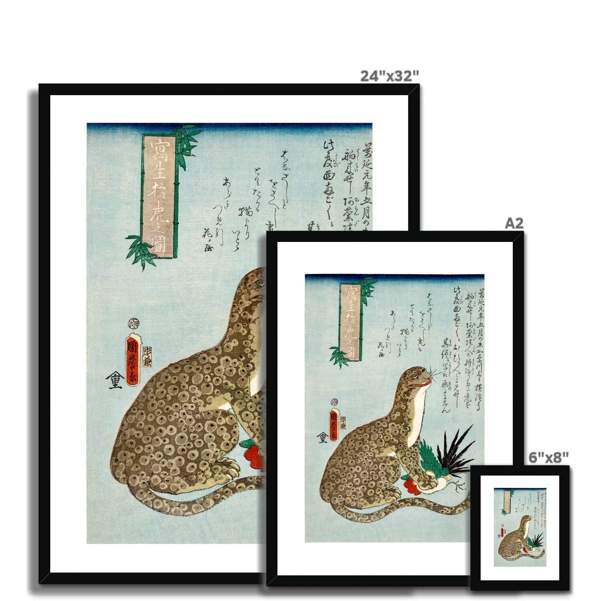 Porpoise Framed & Mounted Print