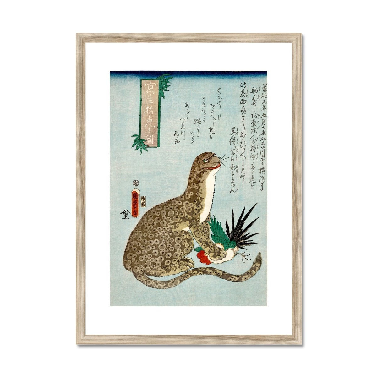 Porpoise Framed & Mounted Print