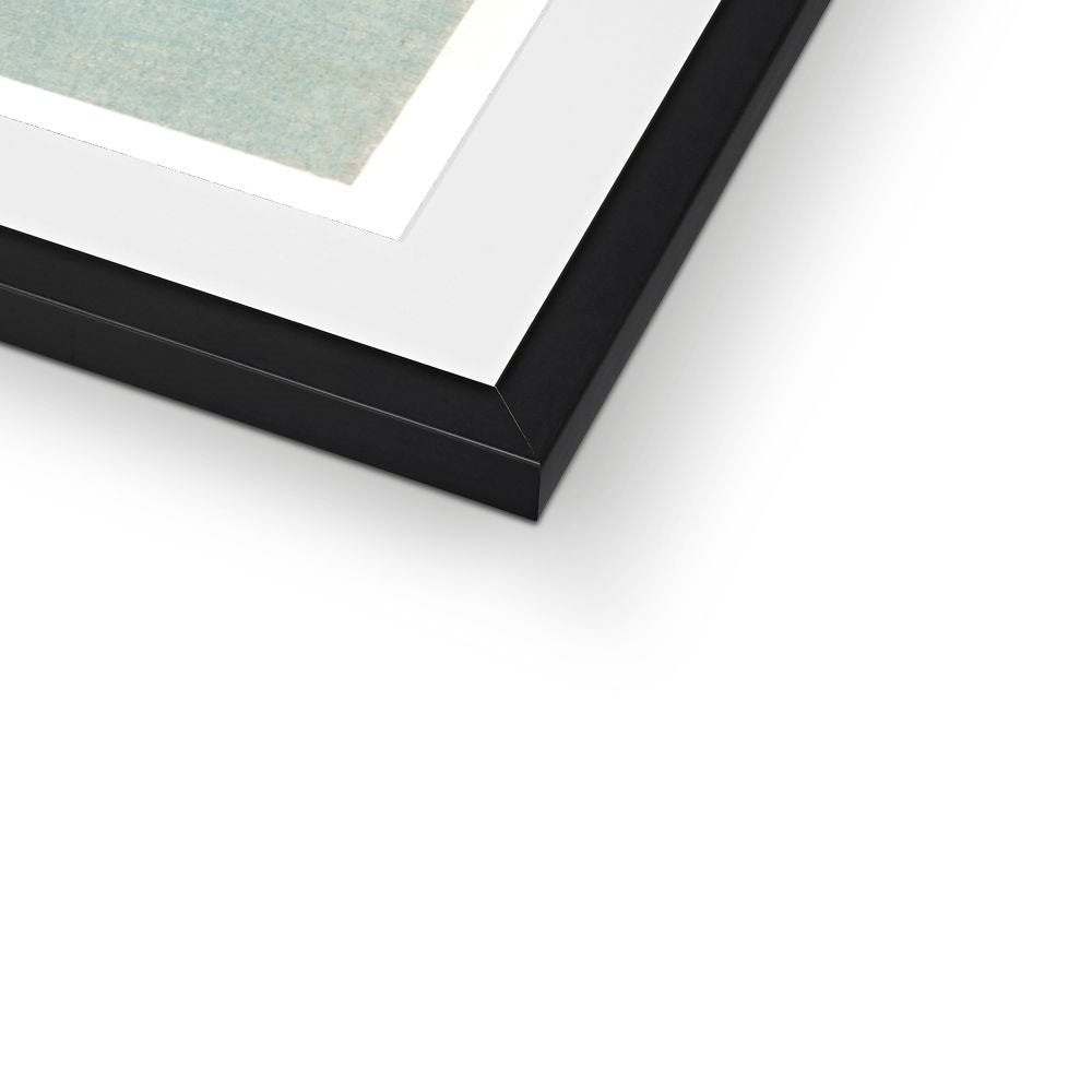 Porpoise Framed & Mounted Print