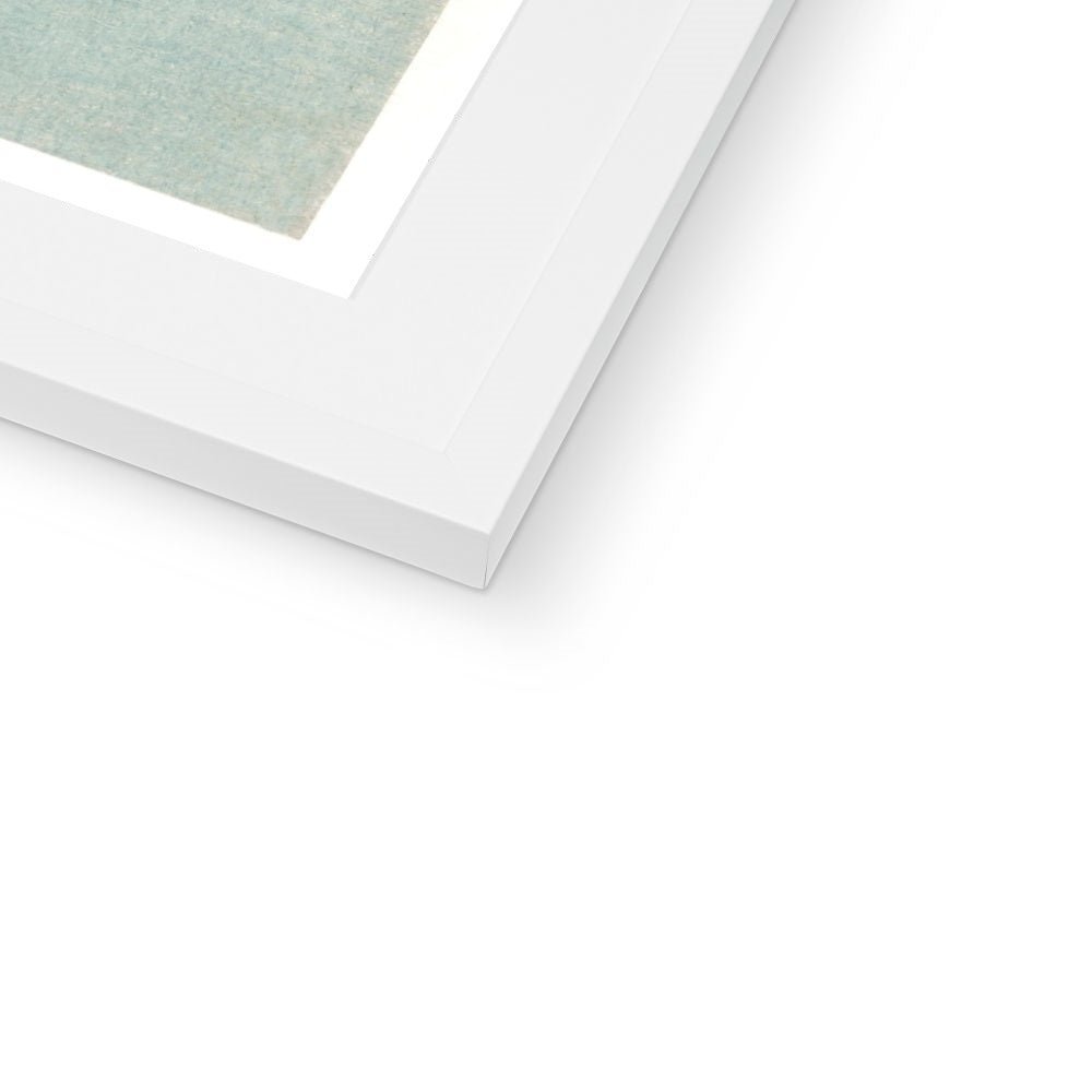 Porpoise Framed & Mounted Print