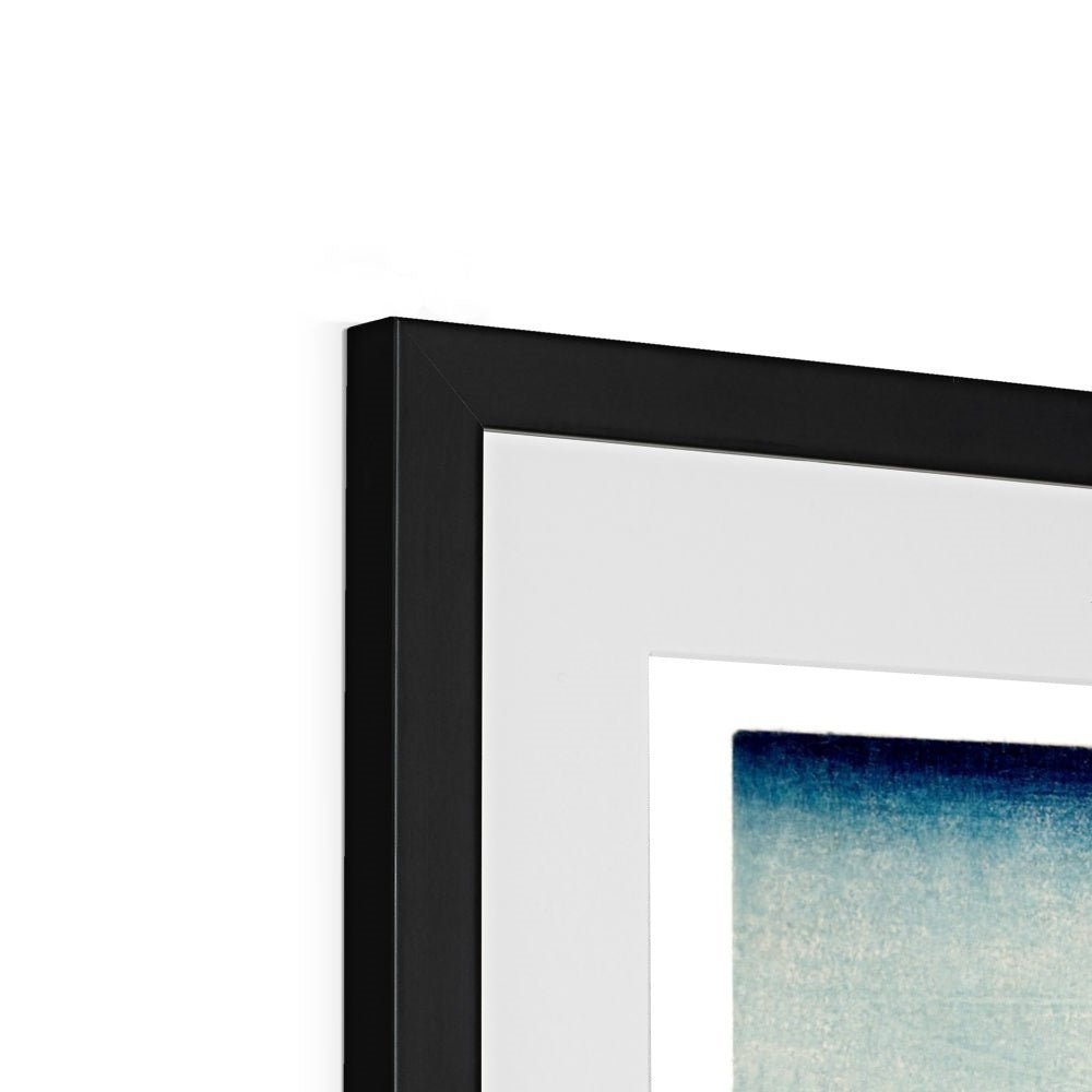 Porpoise Framed & Mounted Print