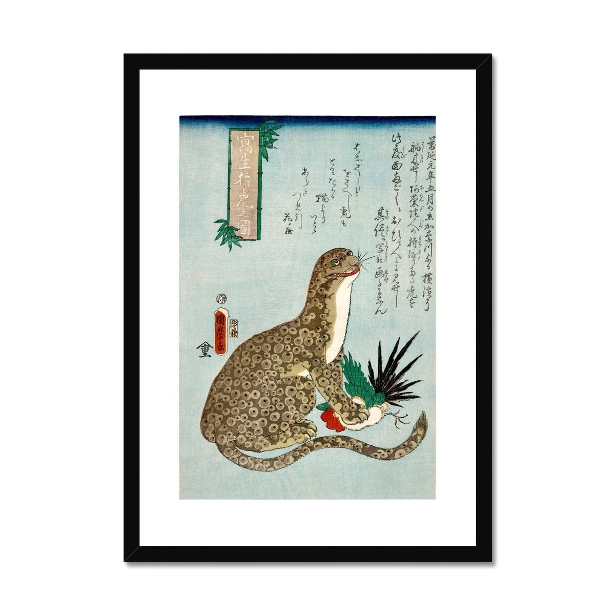 Porpoise Framed &amp; Mounted Print