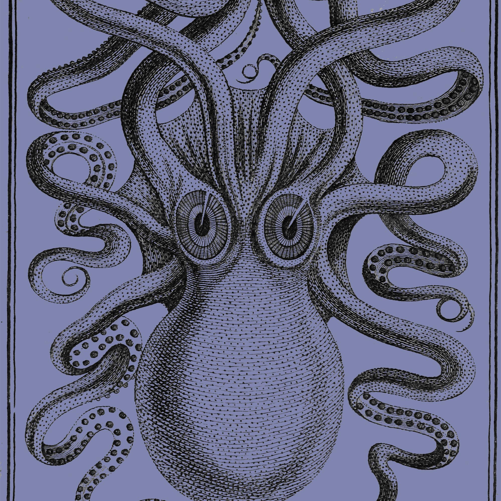 T-Shirts The Kraken, Norse Viking Mythology, Seamonster, Giant Squid, Octopus Vintage Graphic T-Shirt